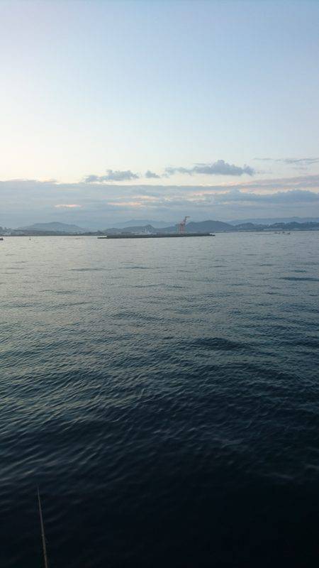 ドラゴン太刀魚