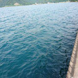 ベイトショアジギ