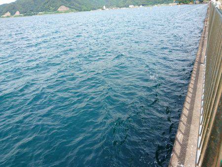 ベイトショアジギ