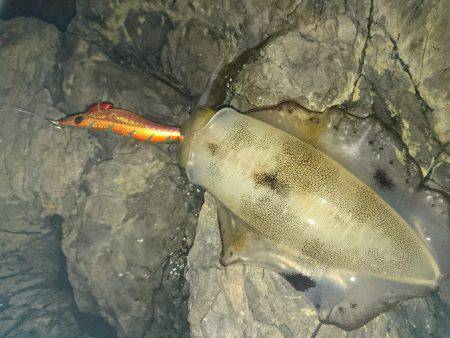 台風前の数釣り(*^^*)♪