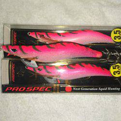 地磯オールナイト