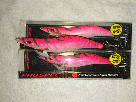 地磯オールナイト