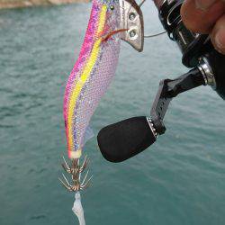 ちょいとエギング