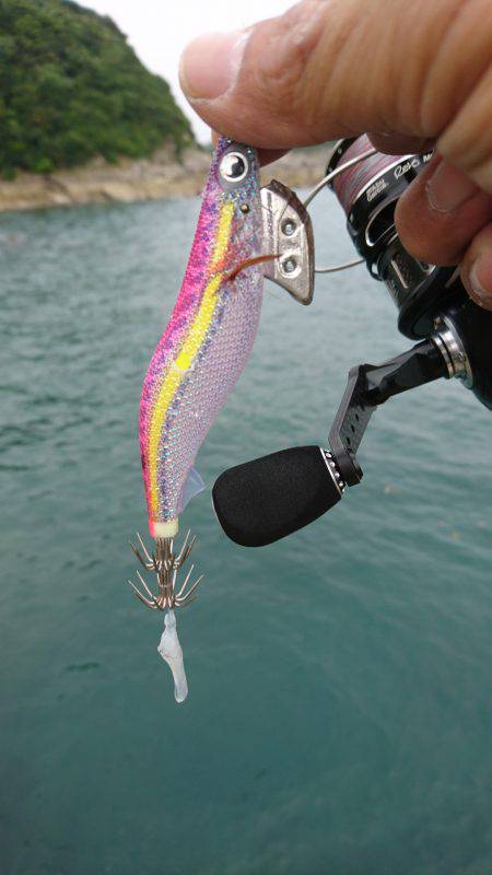 ちょいとエギング