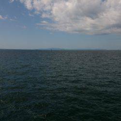 パターンがはまると・・・