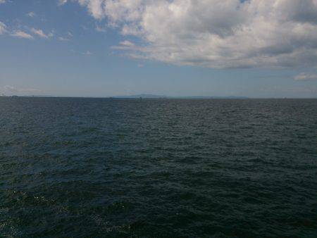 パターンがはまると・・・