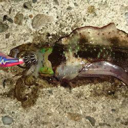 条件良くても渋い