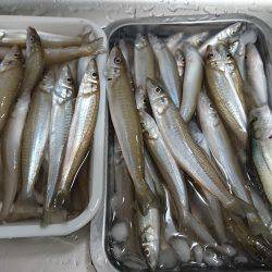 キスフィーバー