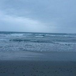 嵐の中でも釣り