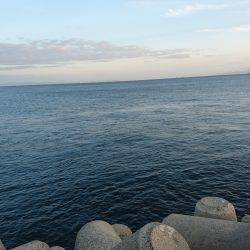 ショアジギング