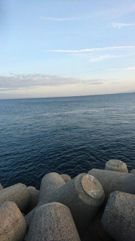 ショアジギング