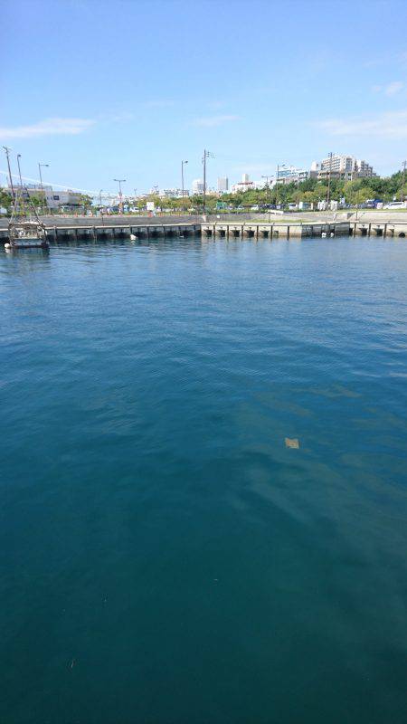 朝からショアジギング