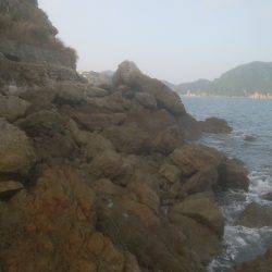 ロックフィッシュ