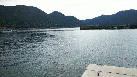 朝マヅメに夏イカGET！！