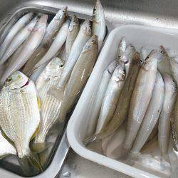 戻ってきたキス