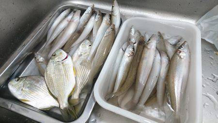 戻ってきたキス