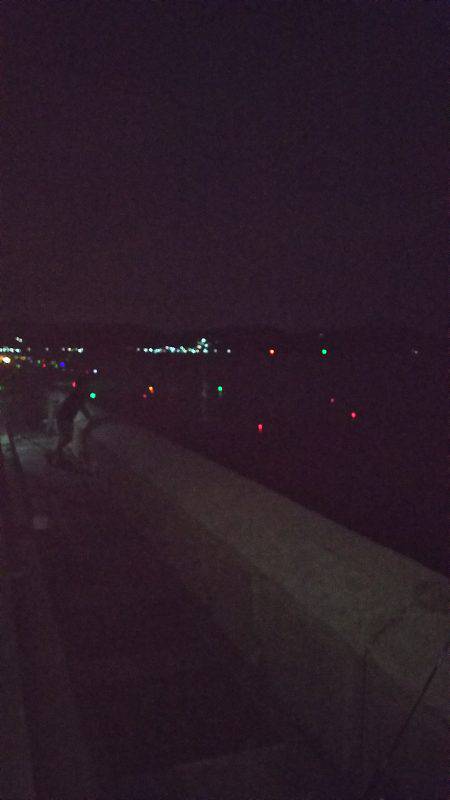 タチウオ&アオリイカ