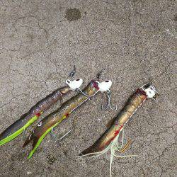 暴風の中のタチウオ釣り