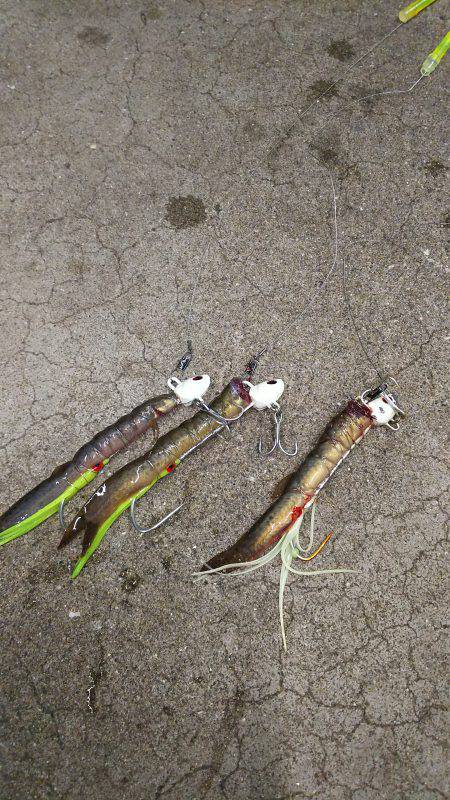 暴風の中のタチウオ釣り