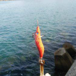 teamゲッソー調査隊