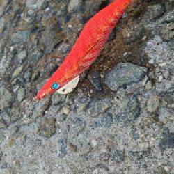 teamゲッソー調査隊