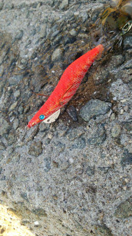 teamゲッソー調査隊