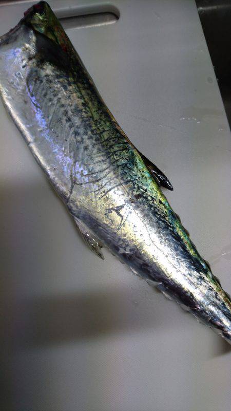 北公園チビタチ