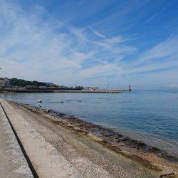 青物からのキス