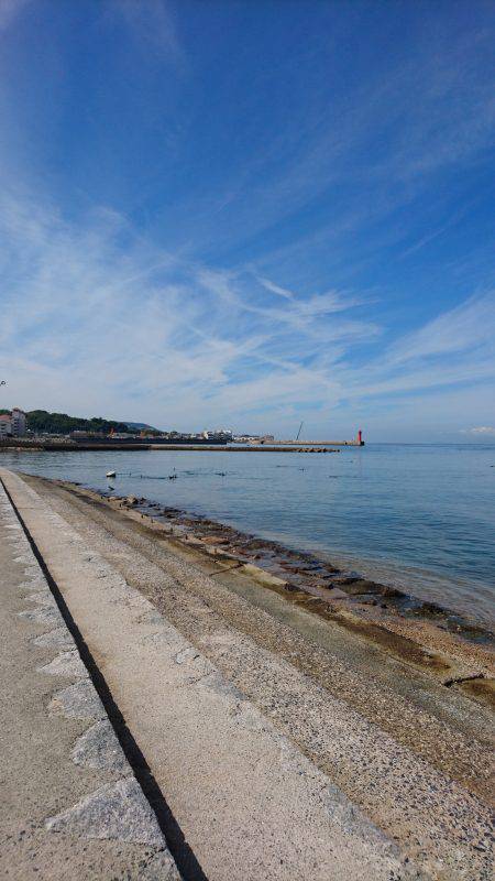 青物からのキス