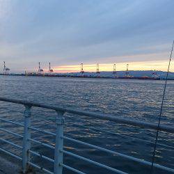 シーサイドコスモへ太刀魚を釣りに