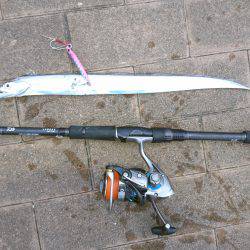 台風前のタチウオ