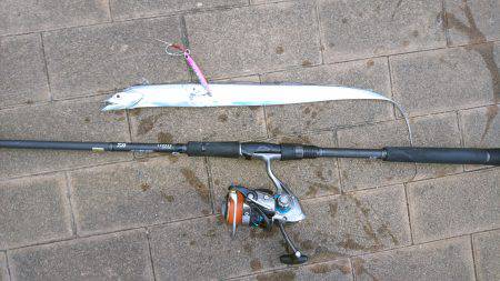 台風前のタチウオ