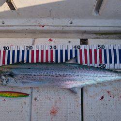 ジギング&タイラバ