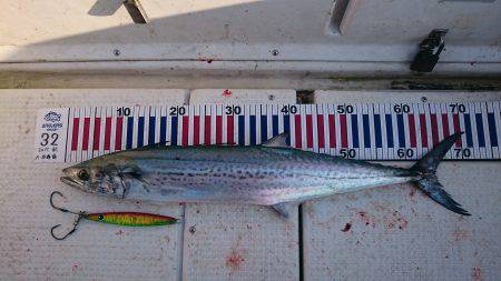 ジギング&タイラバ