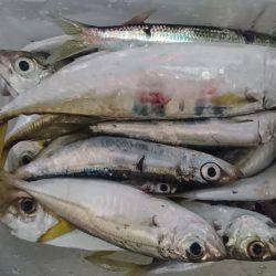 デイアジング？