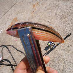 キスはどこへ…？