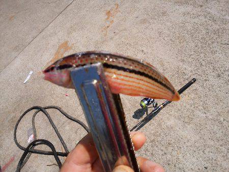 キスはどこへ…？