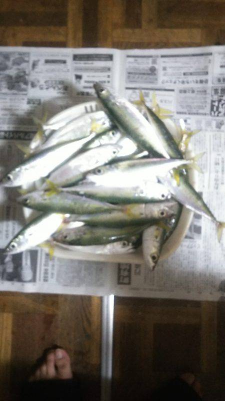 大漁❗大漁❗サバ・メッキ・太刀魚