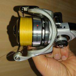 神戸 北公園 釣果