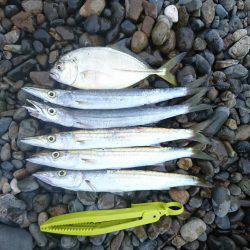 メタルマルがハマりました。