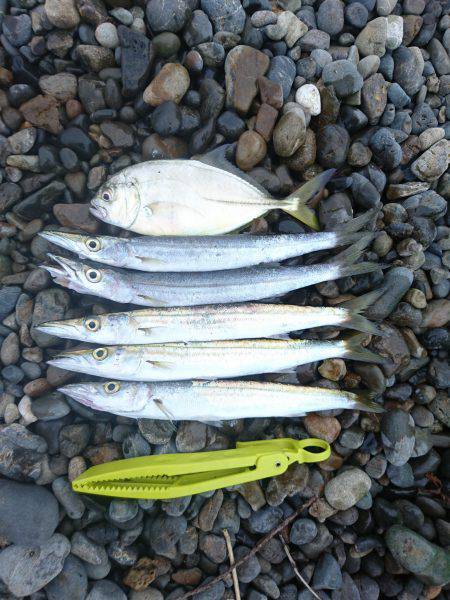 メタルマルがハマりました。