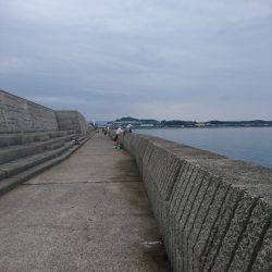 カマスまわってきてます！