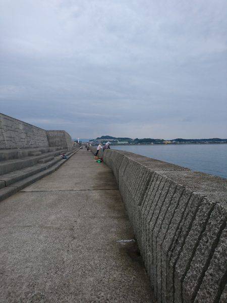 カマスまわってきてます！