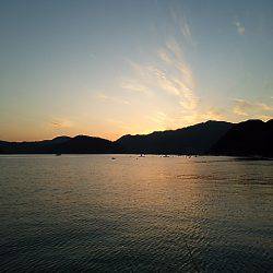 高活性とは言えないけど