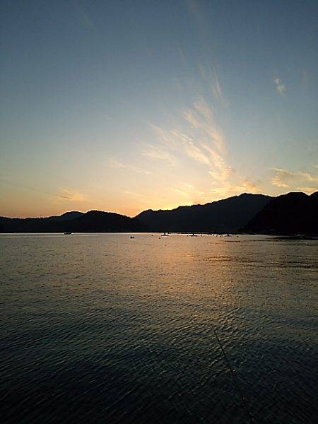 高活性とは言えないけど