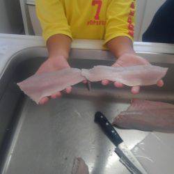 子供とシーバス祭り