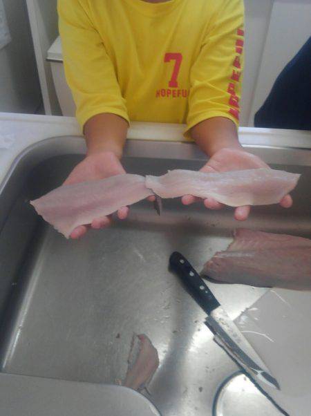 子供とシーバス祭り