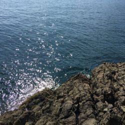 激シブ‥エギング