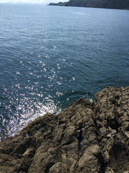 激シブ‥エギング