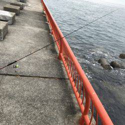 なんとか、ボウズは…。